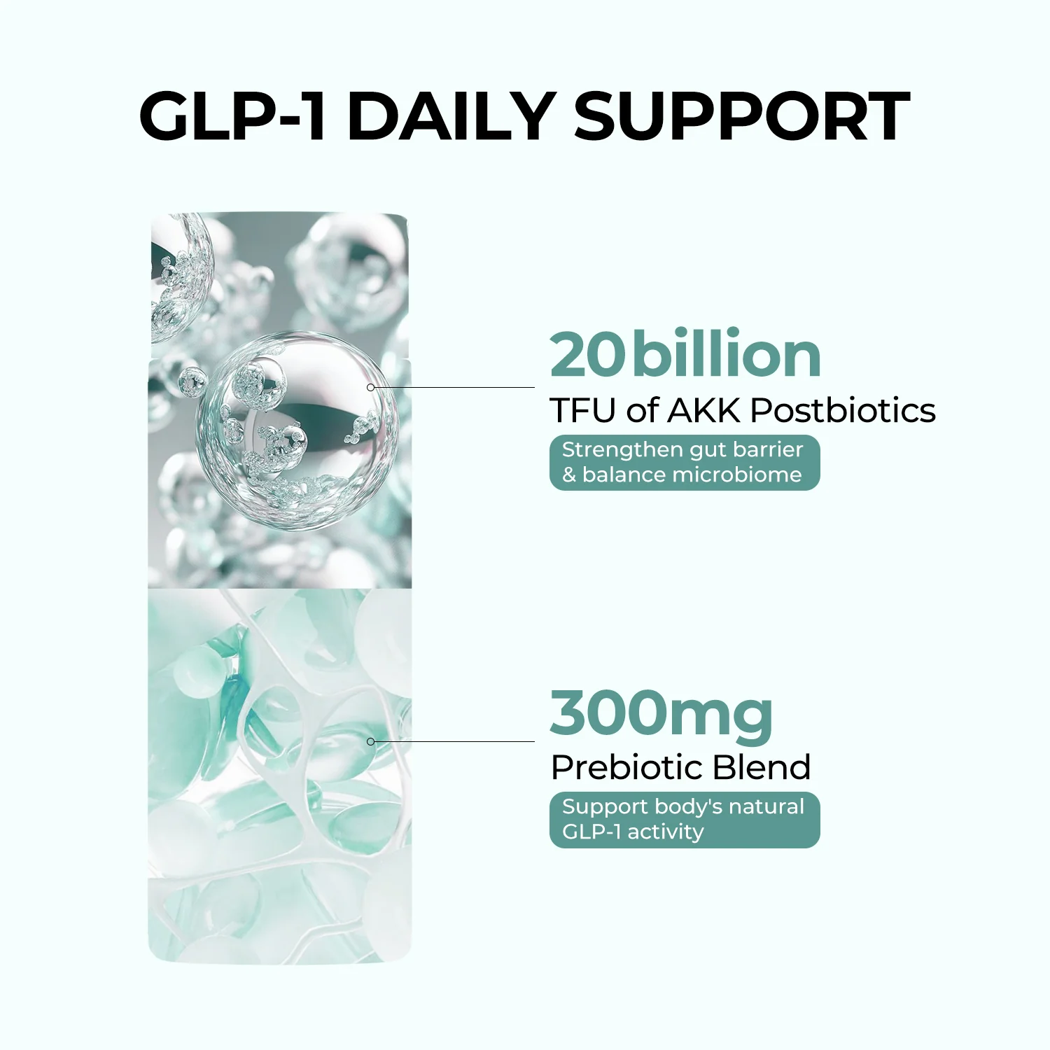 All-in-One Weight Management Bundle - Image 5