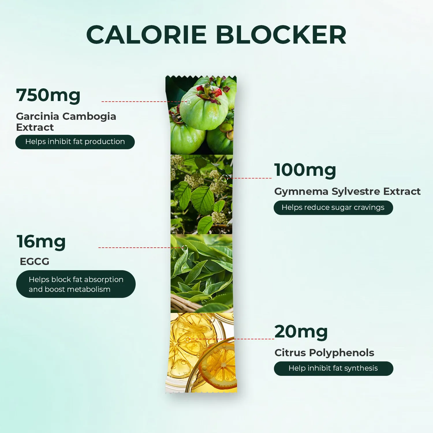 All-in-One Weight Management Bundle - Image 6