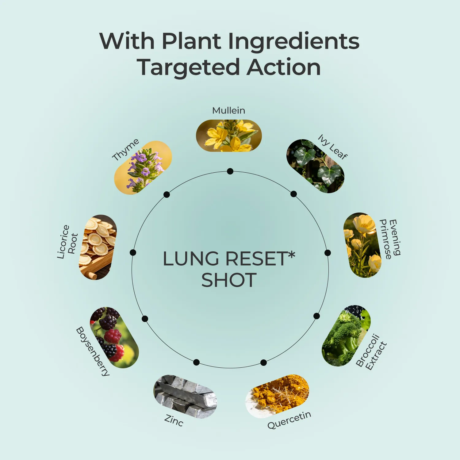 Lung Reset Shot 9-in-1 Cooling Sensation - Image 3