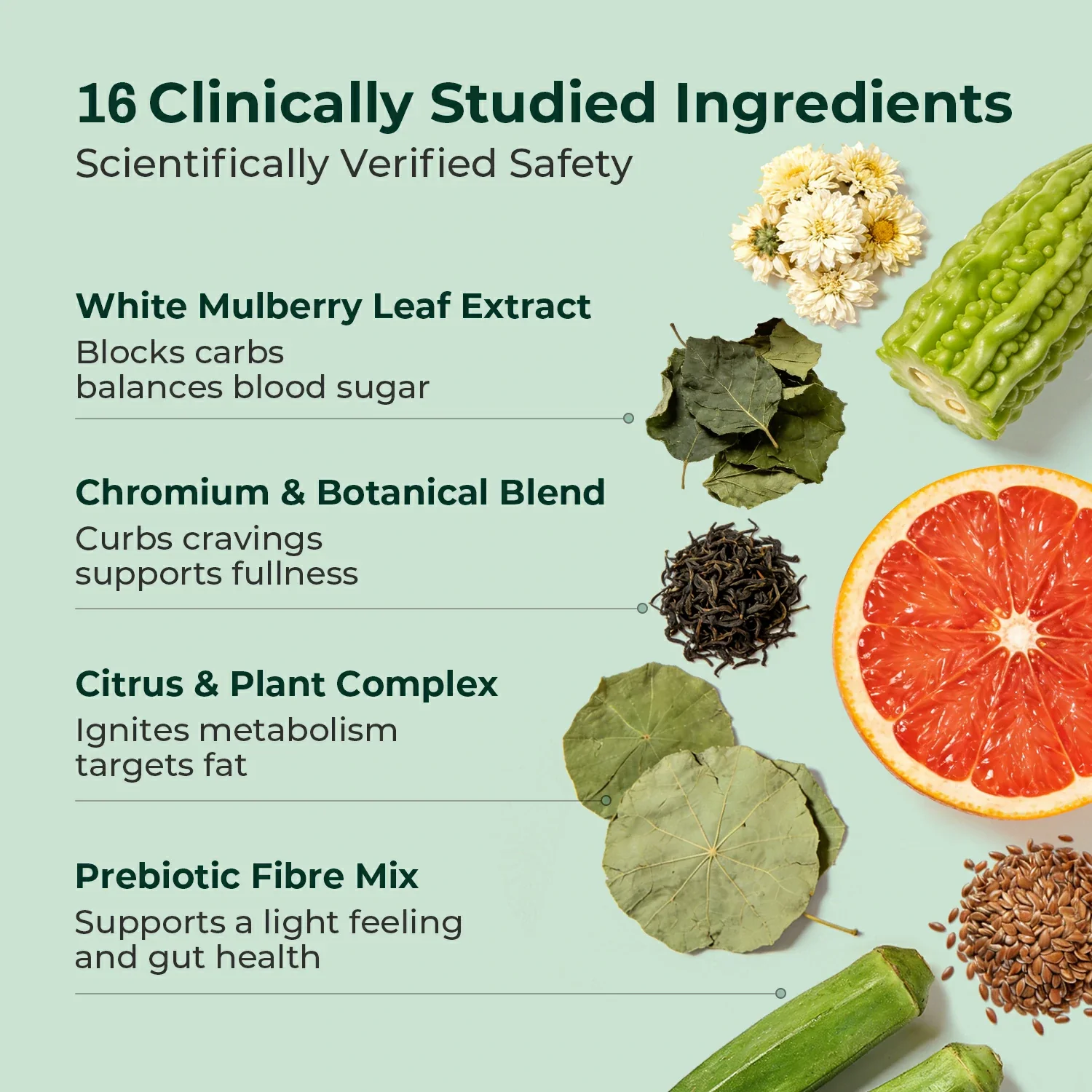 Metabolism & Gut Support Bundle - Image 5