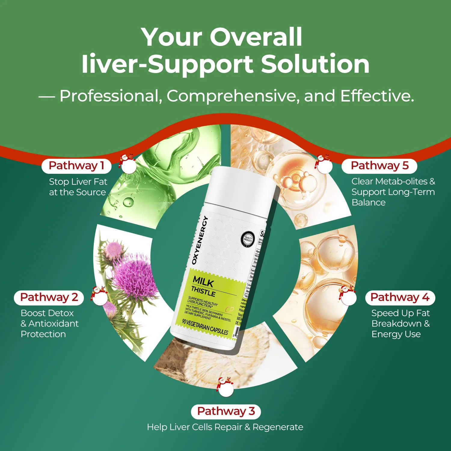 MILK THISTLE 90 CAPSULES - Purification &  Detoxification - Image 4