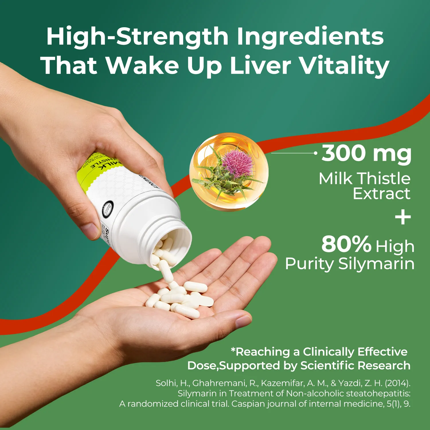 MILK THISTLE 90 CAPSULES - Purification &  Detoxification - Image 5