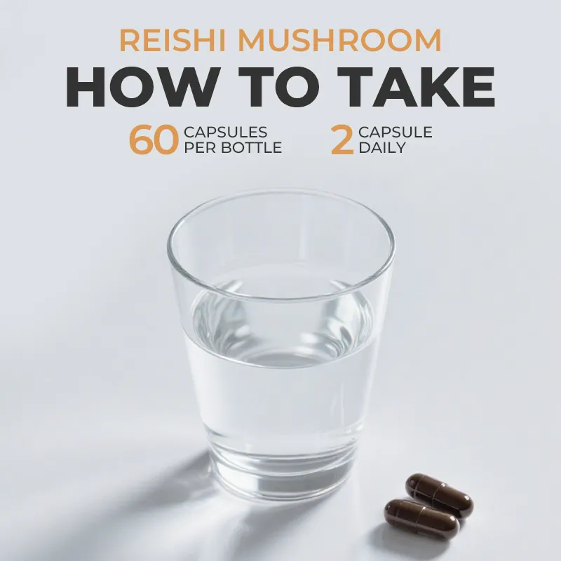 MUSHROOM REISHI SPORES - Image 4